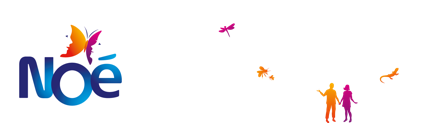 Logo - Noe
