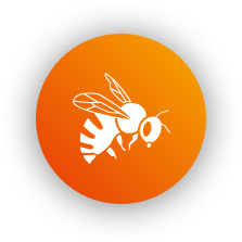 Image icone - abeille