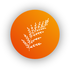 Image icone - vegetal